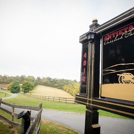 Rohrersville Antietam Overlook Farm المظهر الخارجي الصورة