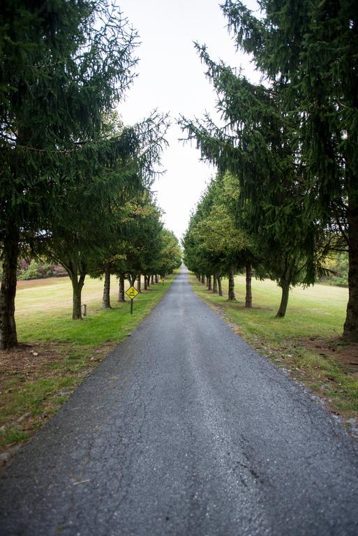 Rohrersville Antietam Overlook Farm المظهر الخارجي الصورة