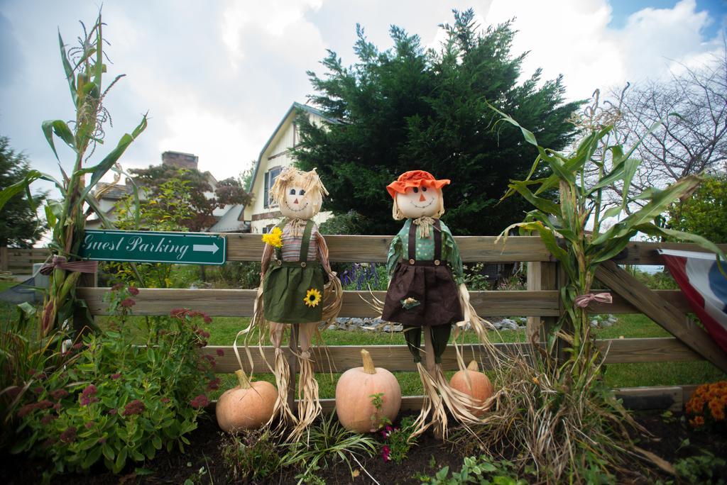 Rohrersville Antietam Overlook Farm المظهر الخارجي الصورة